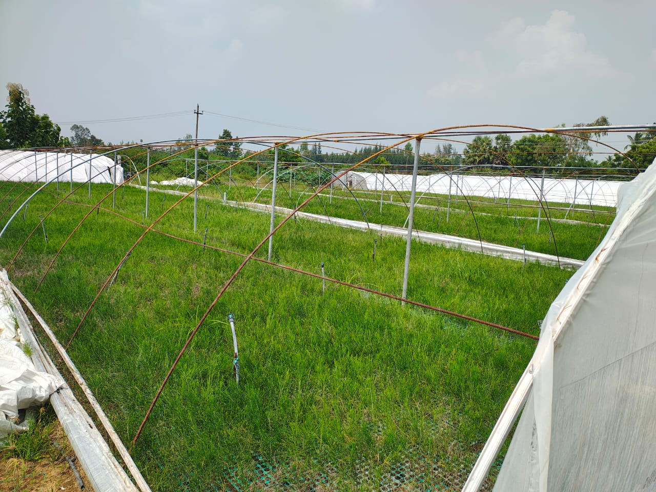 IMG-20250320-WA0028