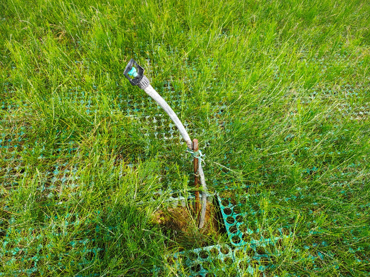 IMG-20250320-WA0031